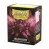 Dragon Shield Standard Blossom Matte Dual